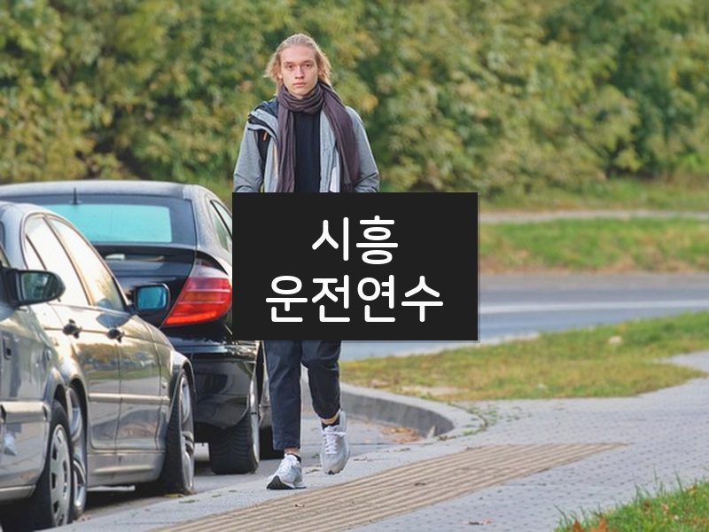 시흥운전연수 후기