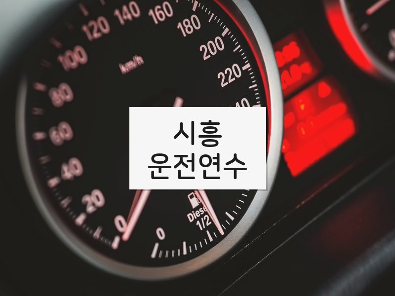 시흥운전연수 후기