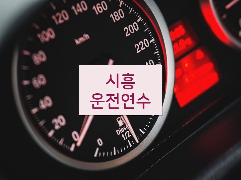 시흥운전연수 후기