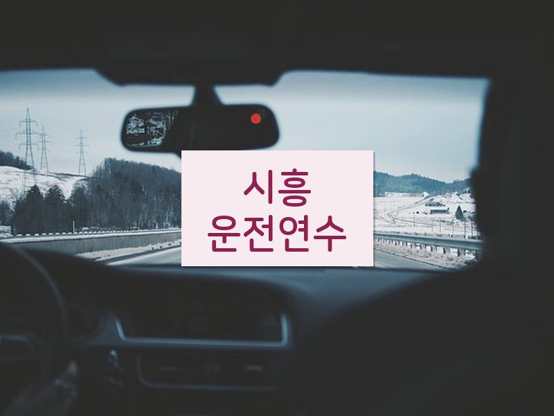 시흥운전연수 후기
