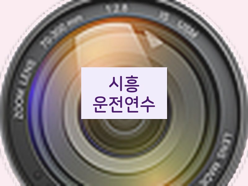 시흥운전연수 후기