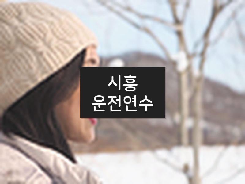시흥운전연수 후기