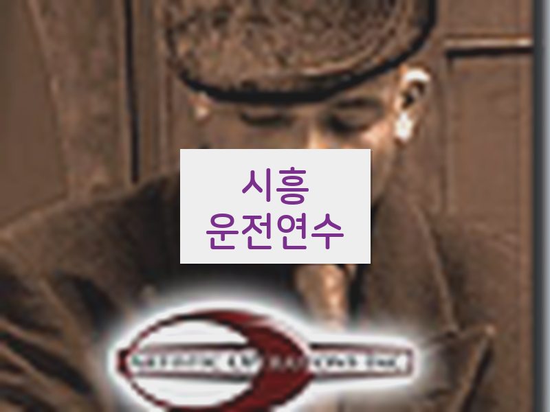 시흥운전연수 후기