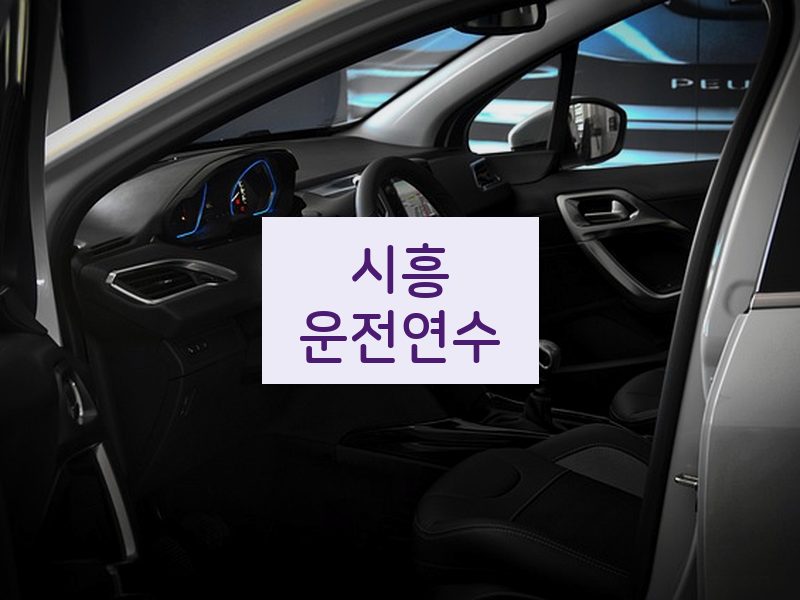 시흥운전연수 후기