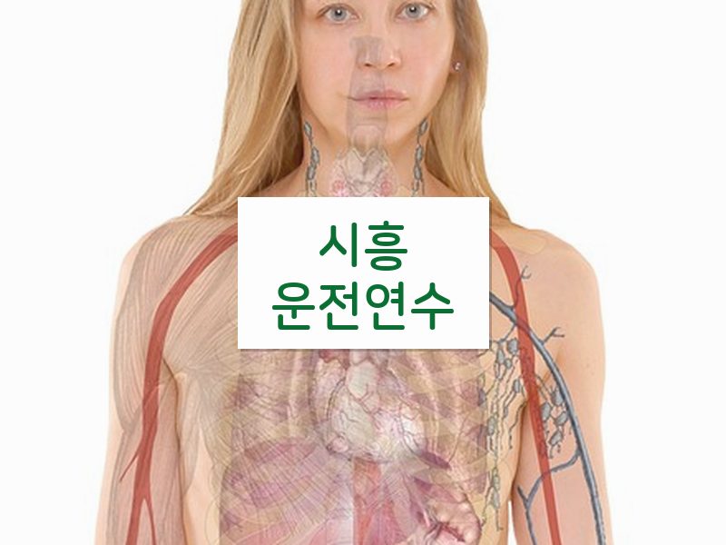 시흥운전연수 후기
