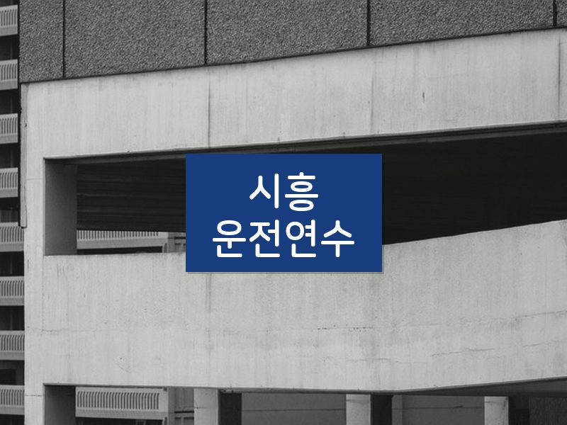 시흥운전연수 후기