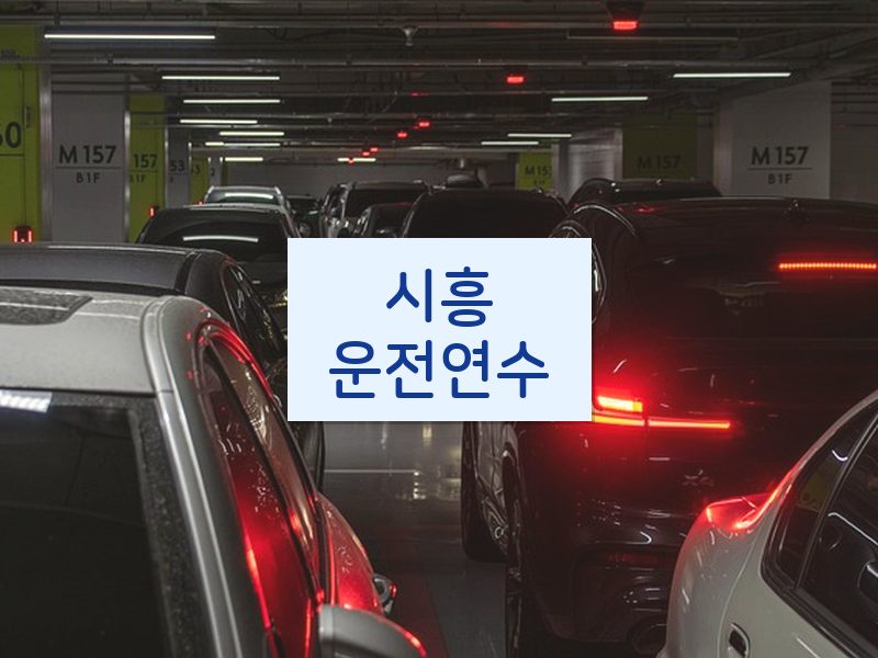 시흥운전연수 후기