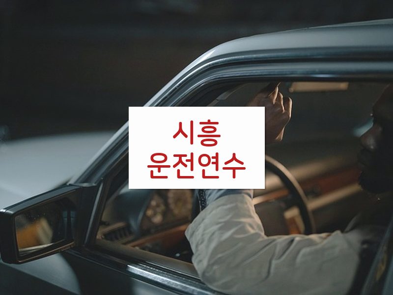 시흥운전연수 후기