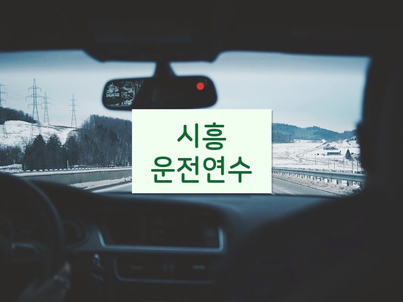 시흥운전연수 후기