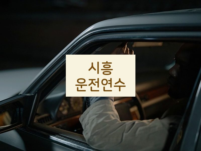 시흥운전연수 후기
