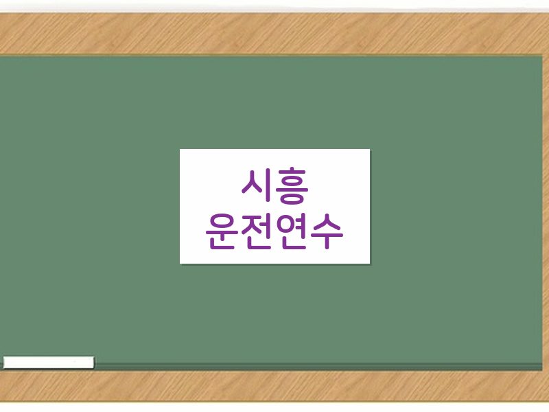시흥운전연수 후기