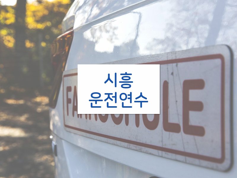 시흥운전연수 후기