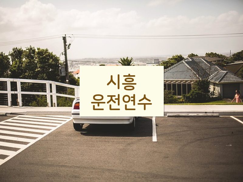 시흥운전연수 후기