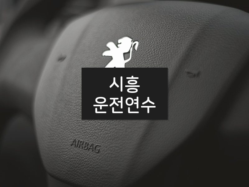 시흥운전연수 후기