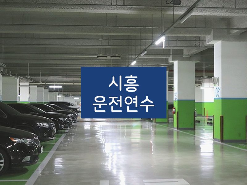 시흥운전연수 후기