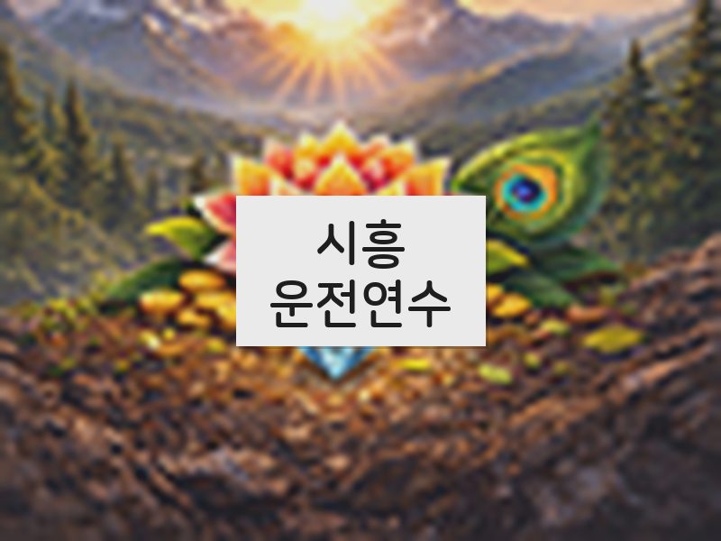 시흥운전연수 후기
