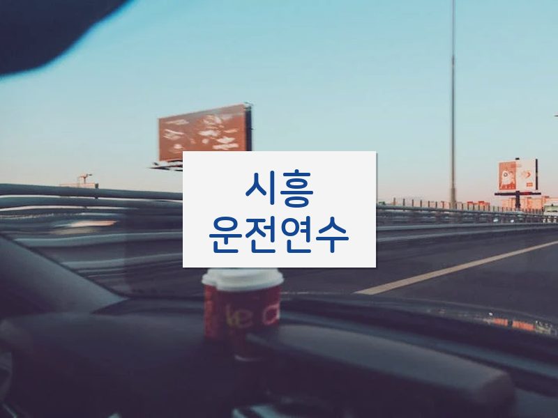 시흥운전연수 후기