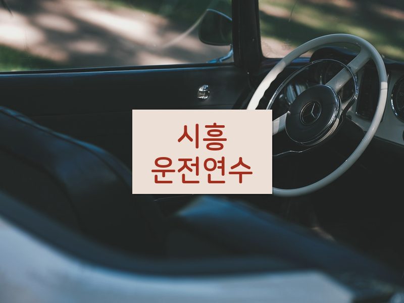 시흥운전연수 후기