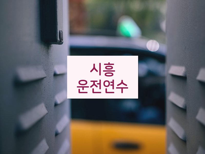 시흥운전연수 후기