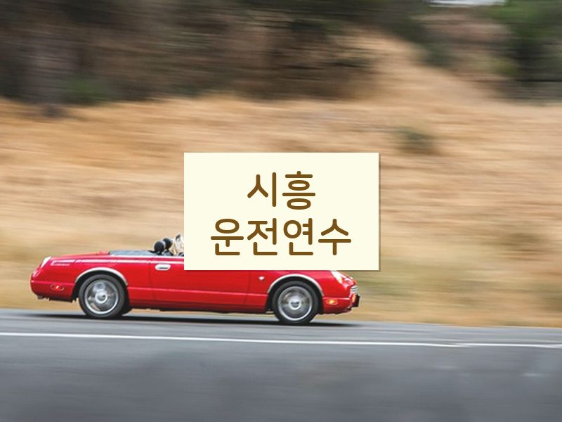 시흥운전연수 후기