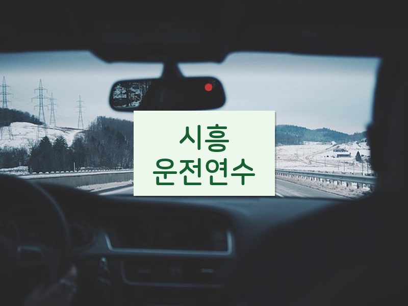 시흥운전연수 후기