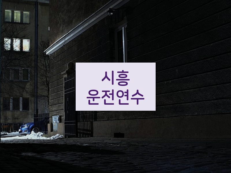 시흥운전연수 후기