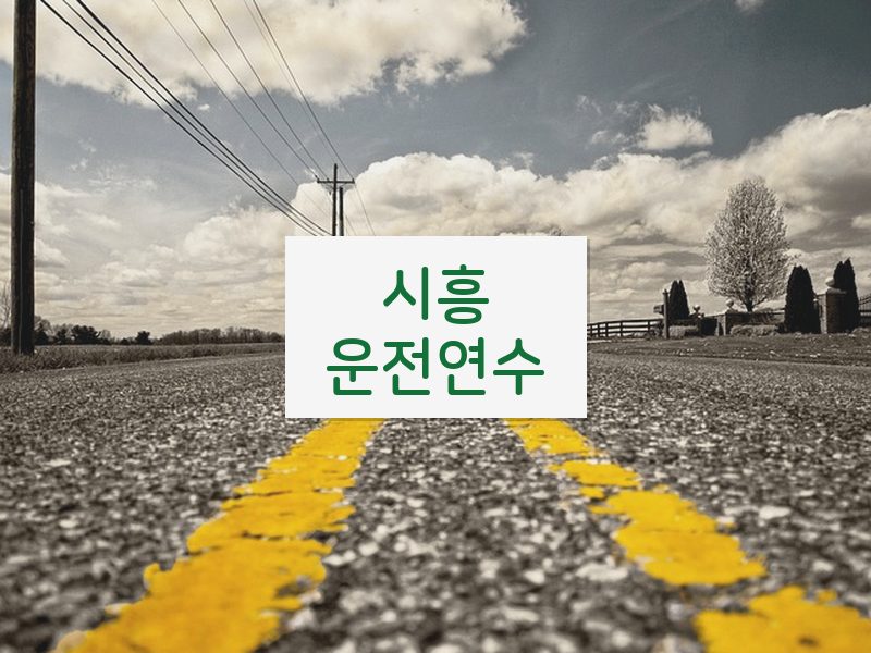 시흥운전연수 후기