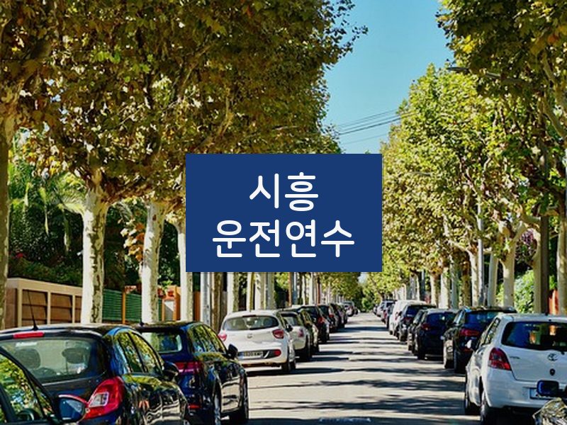 시흥운전연수 후기