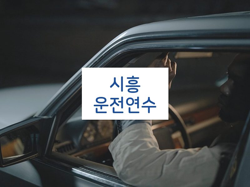 시흥운전연수 후기