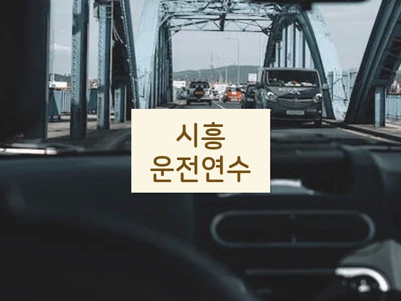 시흥운전연수 후기