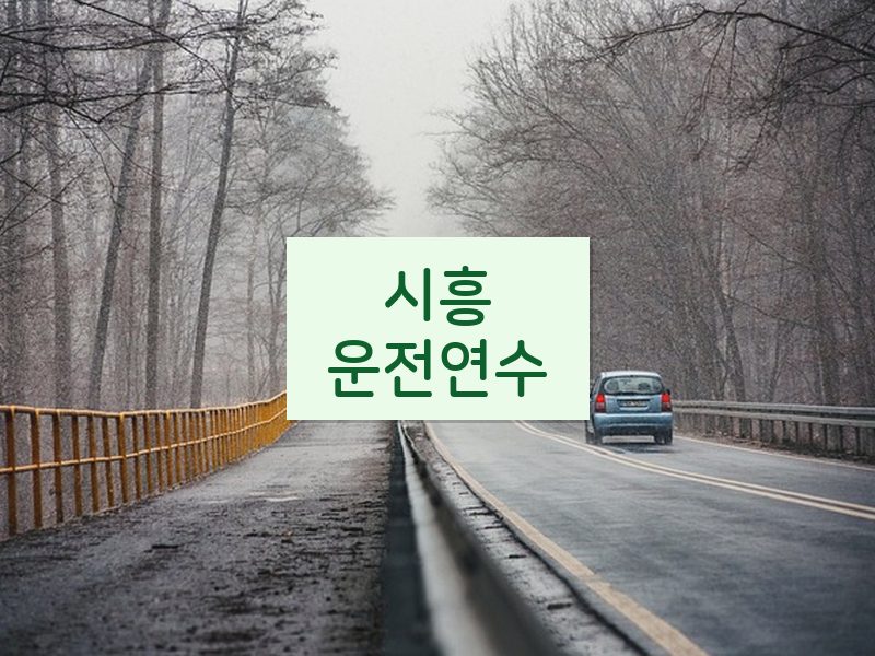 시흥운전연수 후기