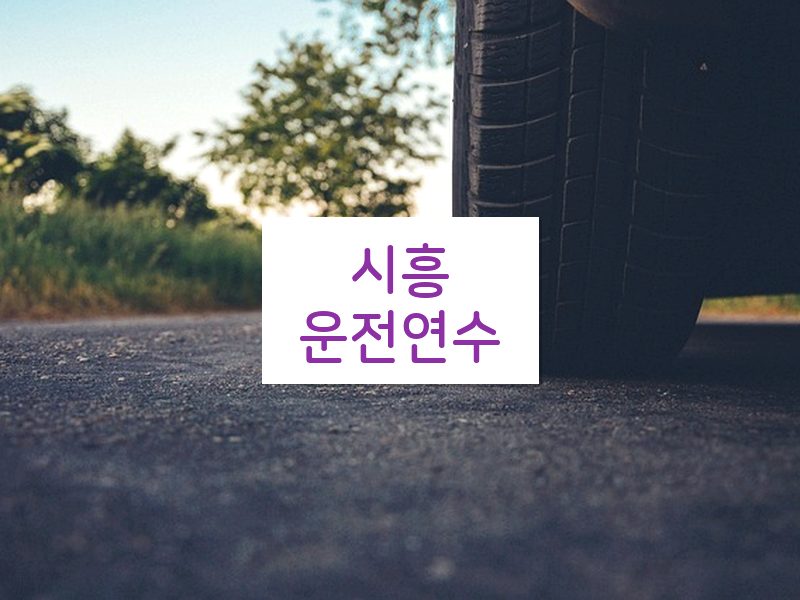 시흥운전연수 후기