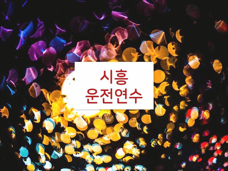 시흥운전연수 후기