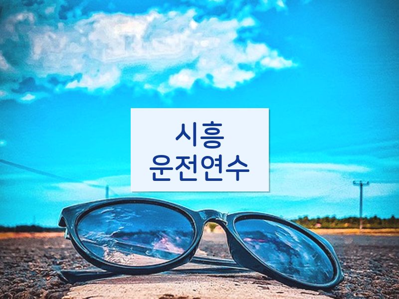 시흥운전연수 후기
