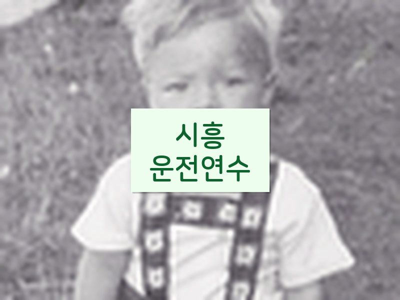 시흥운전연수 후기
