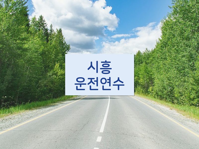 시흥운전연수 후기