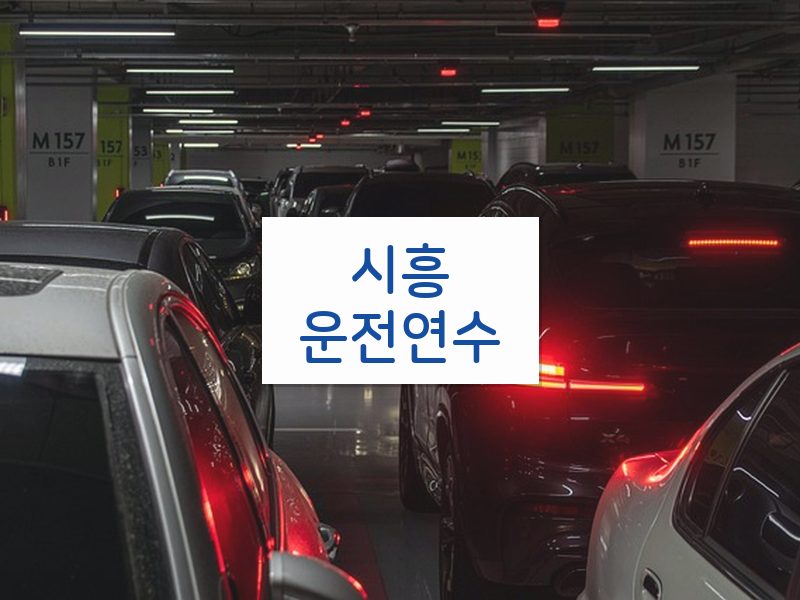 시흥운전연수 후기