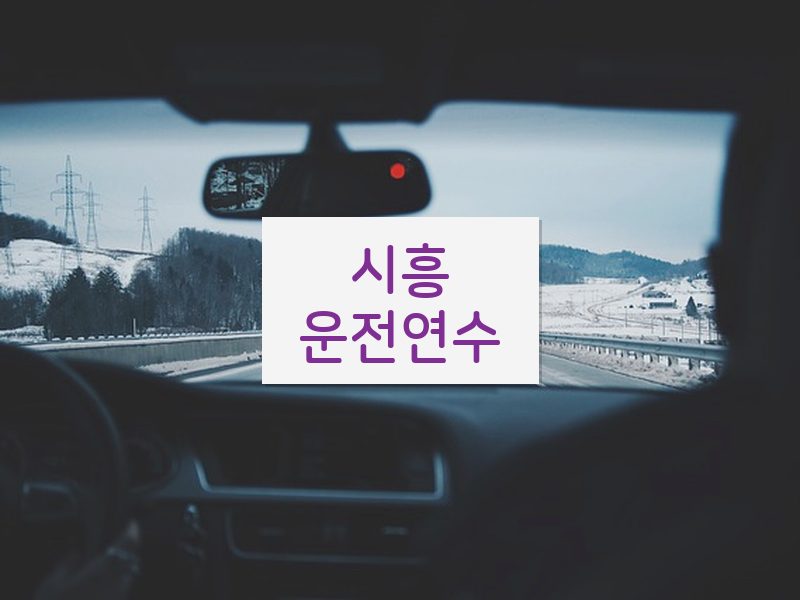 시흥운전연수 후기