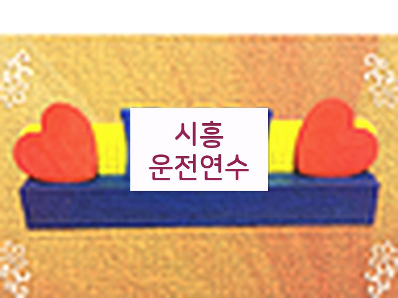 시흥운전연수 후기