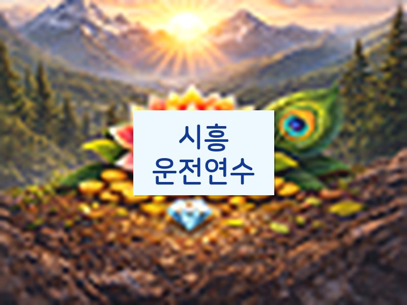 시흥운전연수 후기