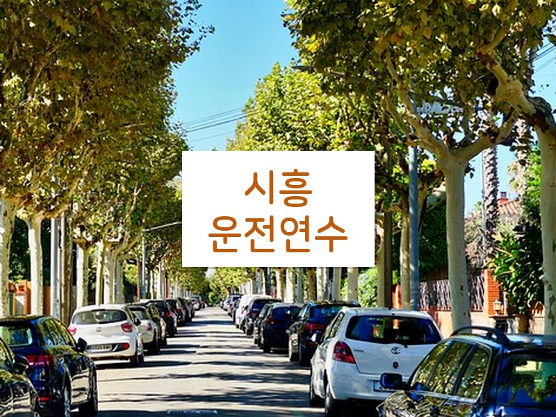 시흥운전연수 후기