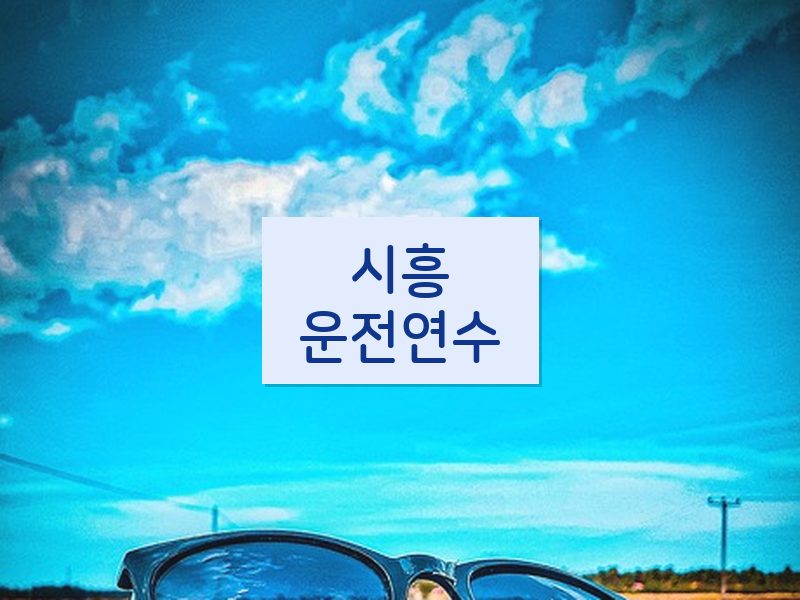 시흥운전연수 후기
