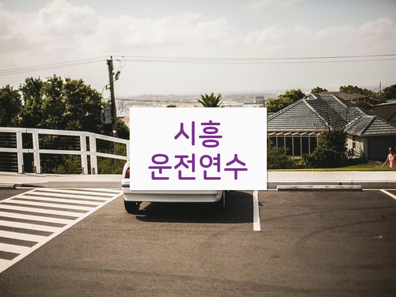 시흥운전연수 후기