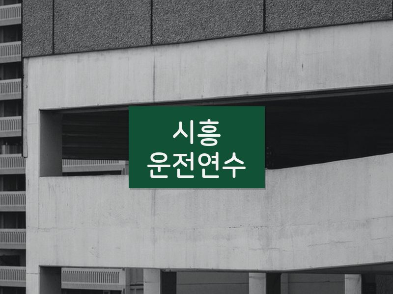 시흥운전연수 후기