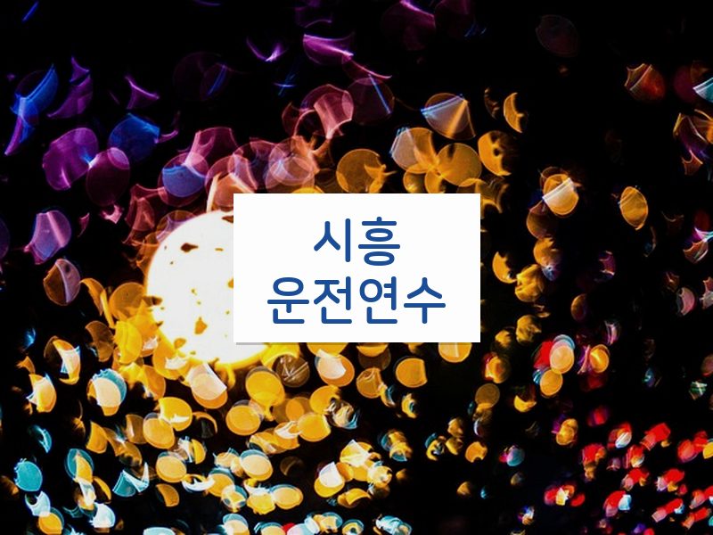 시흥운전연수 후기