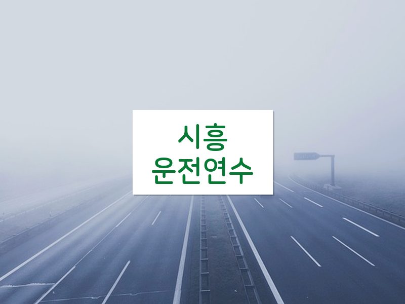 시흥운전연수 후기