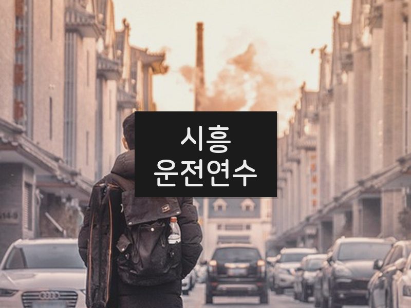 시흥운전연수 후기