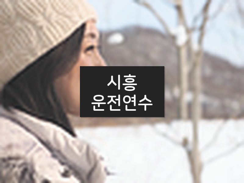 시흥운전연수 후기