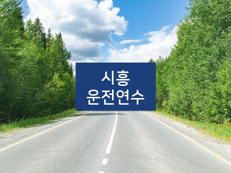 시흥운전연수 후기