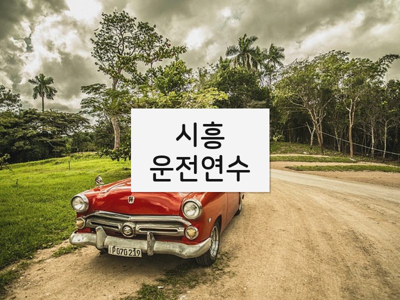 시흥운전연수 후기